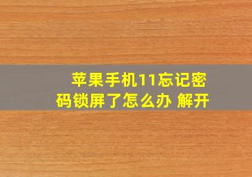 苹果手机11忘记密码锁屏了怎么办 解开